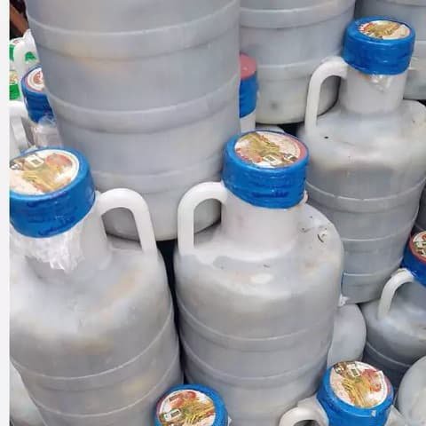 راهنمای خرید خیارشور دبه + قیمت عالی