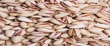 تصویر 3 از خرید و فروش پسته کوهی کرمانشاه  با شرایط فوق العاده