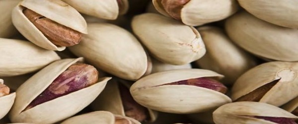تصویر 3 از خرید و فروش پسته رفسنجان صادراتی   با شرایط فوق العاده
