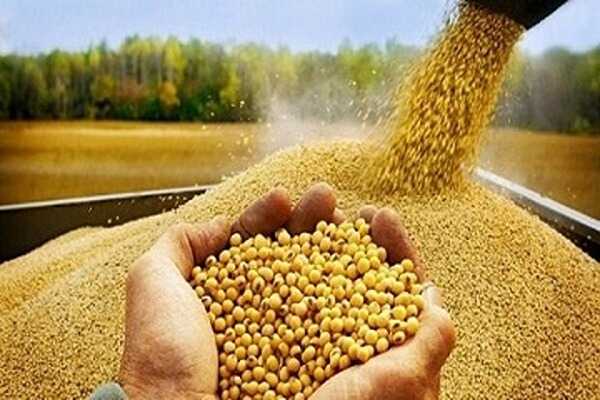 تصویر 2 از فروش مکمل دامی و طیور + قیمت خرید به صرفه