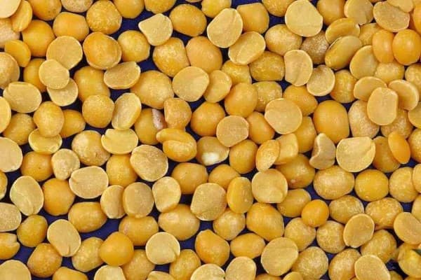 تصویر 5 از قیمت خرید لپه دانه درشت + فروش ویژه
