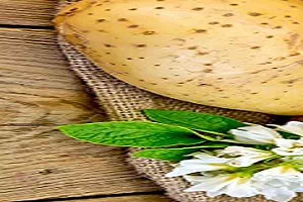 تصویر 5 از خرید و قیمت سیب زمینی پوست قهوه ای + فروش عمده