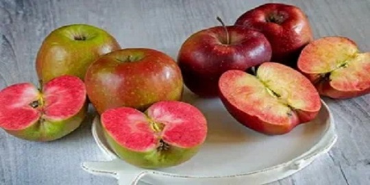 تصویر 3 از خرید و قیمت سیب صادراتی ارومیه + فروش عمده