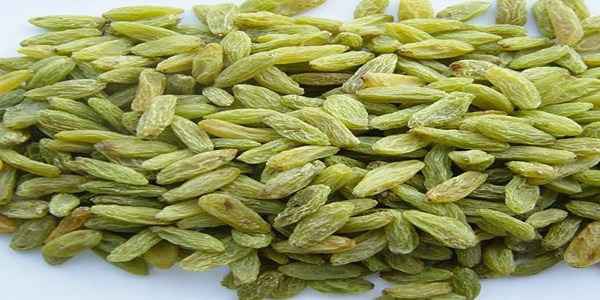 تصویر 1 از خرید کشمش سبز قلمی + قیمت فروش استثنایی