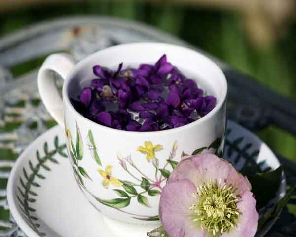 تصویر 3 از قیمت خرید شربت گیاهی گل بنفشه + فروش ویژه