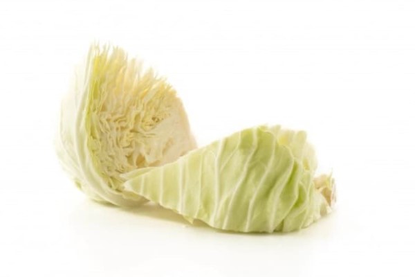 تصویر 1 از قیمت خرید کلم سفید ارومیه + فروش ویژه