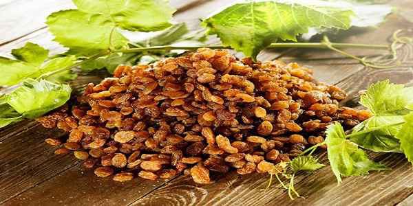 تصویر 1 از فروش کشمش تیزابی طلائی + قیمت خرید به صرفه