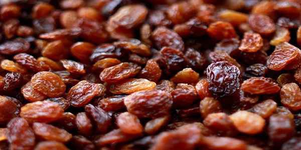 تصویر 2 از فروش کشمش تیزابی طلائی + قیمت خرید به صرفه