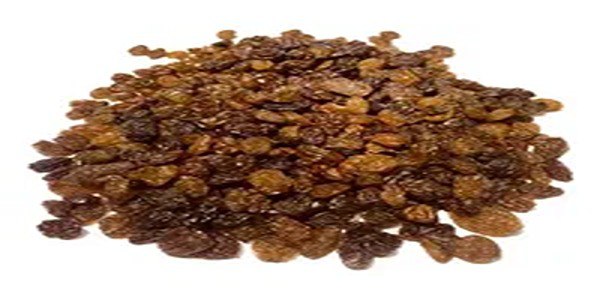 تصویر 5 از فروش کشمش تیزابی طلائی + قیمت خرید به صرفه