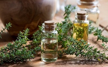 تصویر 2 از راهنمای خرید اسانس گیاهی آویشن + قیمت عالی
