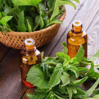 قیمت خرید اسانس نعناع فلفلی  + فروش ویژه