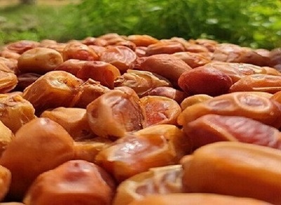 تصویر 5 از قیمت خرما زاهدی درجه یک با کیفیت ارزان + خرید عمده