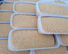 تصویر 5 از قیمت خرید حلوا ارده تقویتی + فروش ویژه