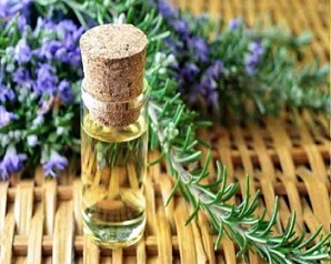 تصویر 4 از قیمت خرید اسانس رزماری باریج با فروش عمده
