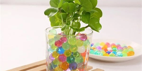 تصویر 3 از قیمت خرید خاک ژله ای کیلویی عمده به صرفه و ارزان