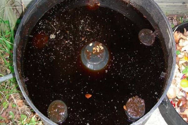 تصویر 4 از قیمت روز کود ارگانیک فسفر بالا