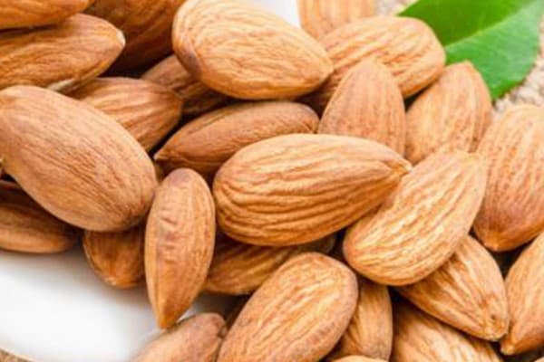 تصویر 5 از قیمت خرید بادام مامایی درجه یک با فروش عمده