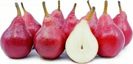 تصویر 3 از قیمت خرید نهال گلابی ردآنجو + فروش ویژه
