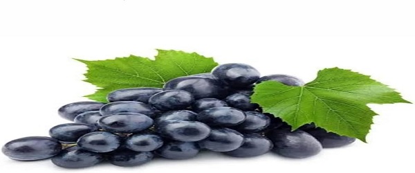 تصویر 2 از قیمت انگور سیاه یاقوتی + خرید باور نکردنی