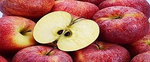 تصویر 5 از قیمت سیب سرخ ارومیه با کیفیت ارزان + خرید عمده