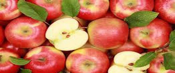 تصویر 5 از قیمت سیب سرخ شاهرود با کیفیت ارزان + خرید عمده