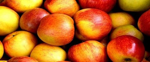 تصویر 5 از خرید و قیمت خرید سیب سرخ کرمان + فروش صادراتی
