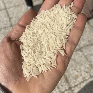 قیمت خرید برنج عنبربو خوزستان + فروش ویژه