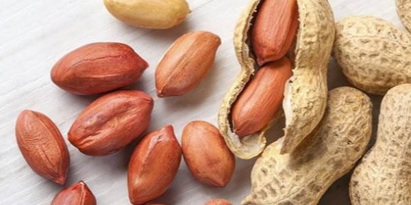 تصویر 4 از قیمت و خرید بادام زمینی صادراتی + فروش ارزان