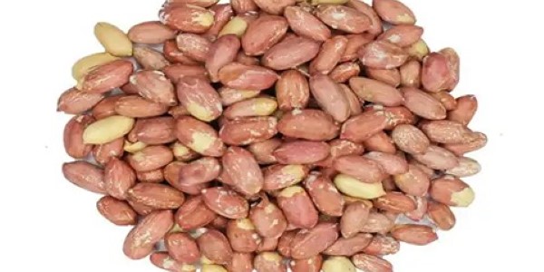 تصویر 1 از قیمت و خرید بادام زمینی صادراتی + فروش ارزان
