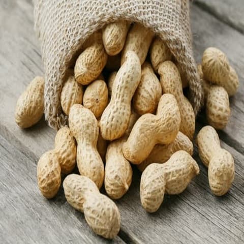 قیمت و خرید بادام زمینی صادراتی + فروش ارزان