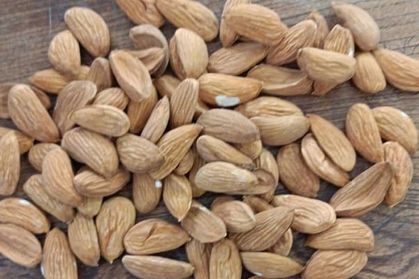 تصویر 2 از قیمت روز بادام رقم مامایی