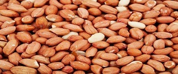 تصویر 4 از قیمت بادام زمینی روکش دار با کیفیت ارزان + خرید عمده