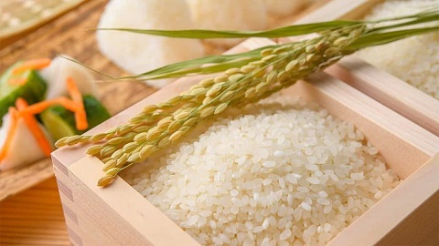 تصویر 1 از قیمت خرید برنج طلای سفید کامفیروز + فروش ویژه