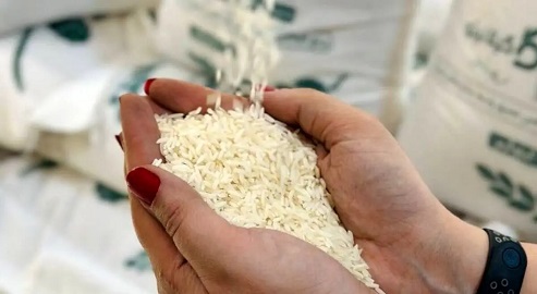 تصویر 5 از قیمت خرید برنج طلای سفید کامفیروز + فروش ویژه