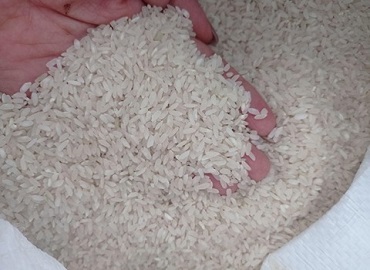 تصویر 3 از قیمت خرید برنج کامفیروز فارس + فروش ویژه