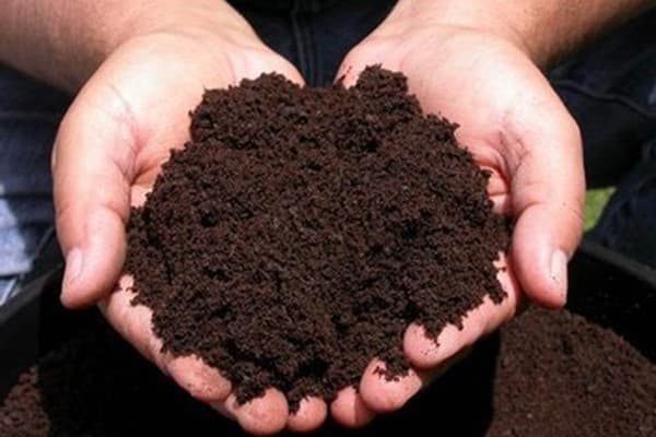 تصویر 4 از خرید جدیدترین انواع کمپوست کود دامی