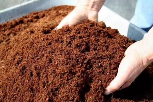 تصویر 5 از خرید جدیدترین انواع کمپوست کود دامی
