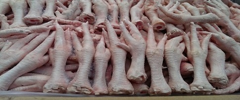 تصویر 4 از فروش پای مرغ درجه ۱ صادراتی + قیمت خرید به صرفه