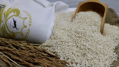 تصویر 5 از قیمت خرید برنج عنبربو عطری + فروش ویژه