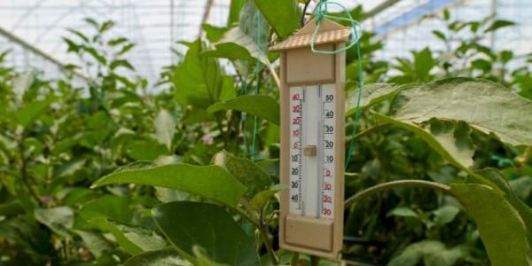 تصویر 5 از قیمت خرید دماسنج مخصوص گلخانه عمده به صرفه و ارزان