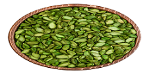 خرید پسته درختی