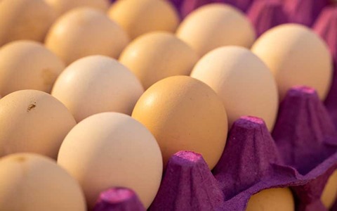 تصویر 1 از خرید و قیمت شانه تخم مرغ رنگی + فروش صادراتی