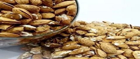 تصویر 5 از قیمت بادام پوست کاغذی خارجی + خرید باور نکردنی