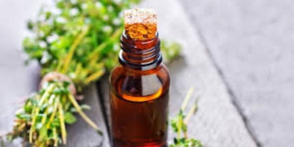تصویر 1 از فروش عمده اسانس مرزه خوزستانی طبیعی گرید A