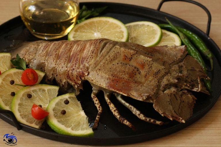 تصویر 4 از قیمت خرید لابستر کله پهن با فروش عمده