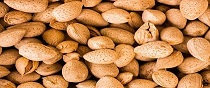 تصویر 3 از قیمت بادام درختی خام + خرید باور نکردنی