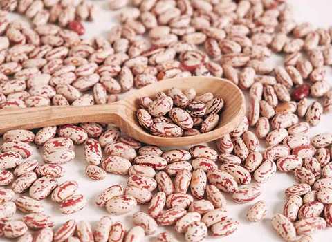 تصویر 3 از خرید لوبیا چیتی گلستان + قیمت فروش استثنایی