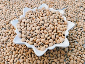 تصویر 2 از قیمت لوبیا چشم بلبلی ریز + خرید باور نکردنی
