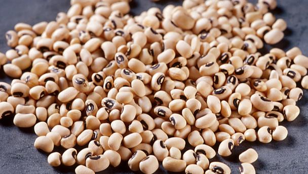 تصویر 5 از قیمت لوبیا چشم بلبلی ریز + خرید باور نکردنی