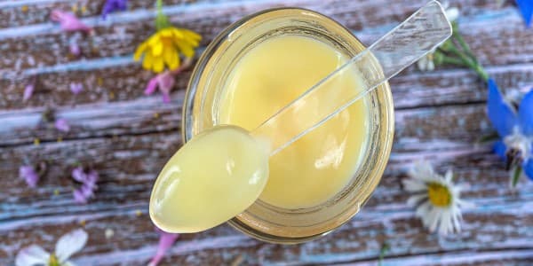 تصویر 2 از فروش ژل رویال اصل به قیمت عمده